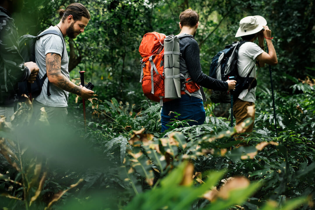 Trois randonneurs parcourant un chemin en forêt