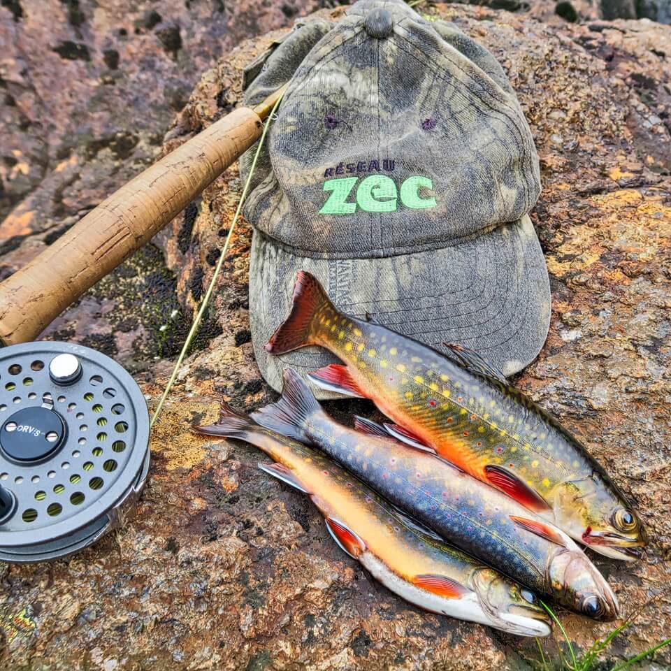 Casquette RÉSEAU ZEC avec trois poissons pêchés à la mouche